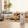 Purificador de Aire ionizador Mage 50 Watts